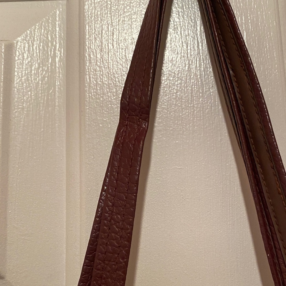 Dooney & Bourke Chestnut Leather Bag with Emblem - Picture 12 of 16